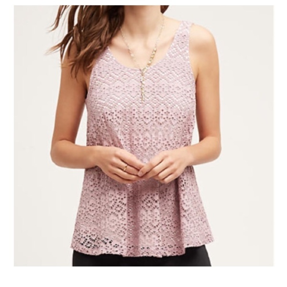 NWT Anthropologie lined Lace tank Small